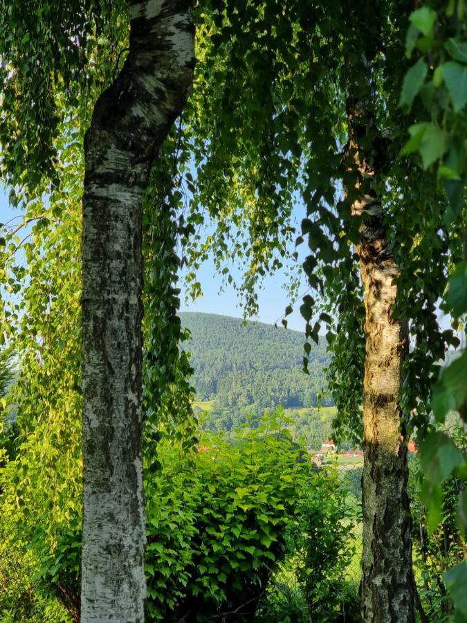 Naszjestwasz Villa Gorki Male  Buitenkant foto